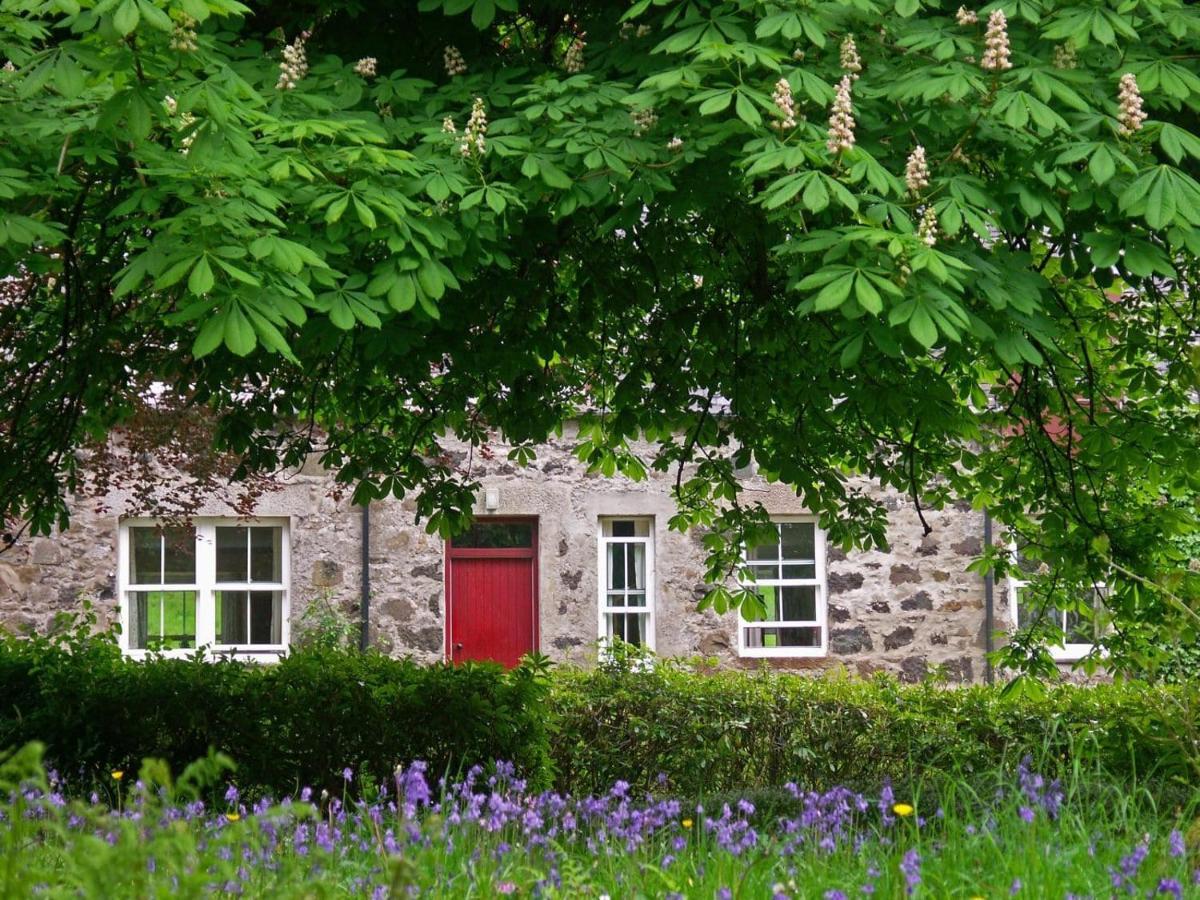 Viewfield House *